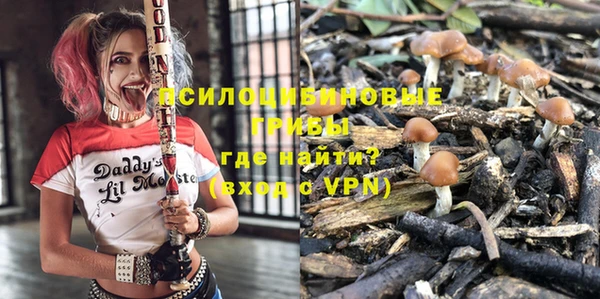 стафф Инсар