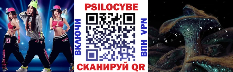 Псилоцибиновые грибы Psilocybe  Краснознаменск 